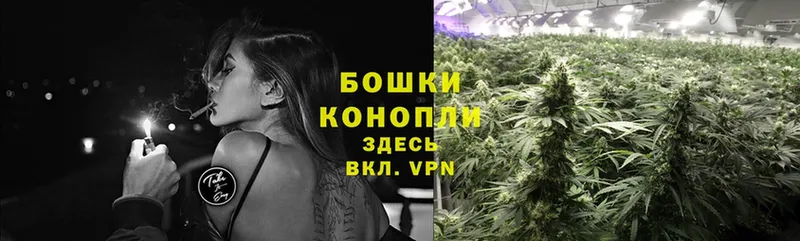 Канабис SATIVA & INDICA  закладка  Мосальск 